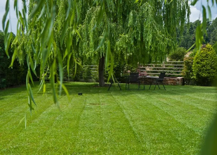 Maltina * Kassandrinón