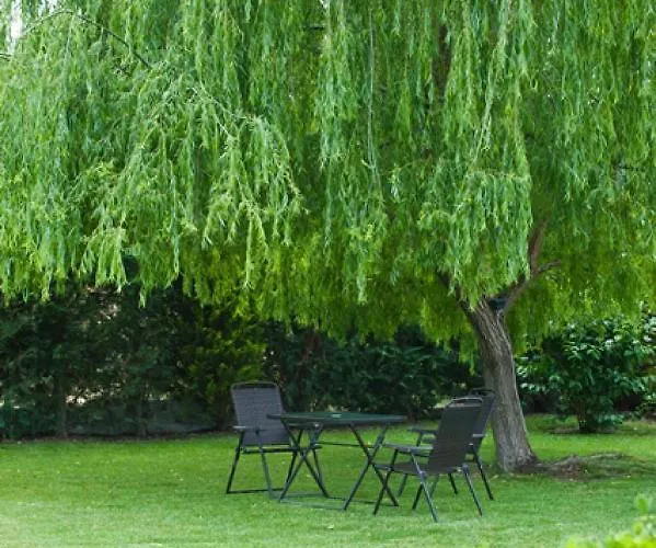 Maltina Kassandrinón