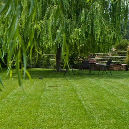 Maltina * Kassandrinón