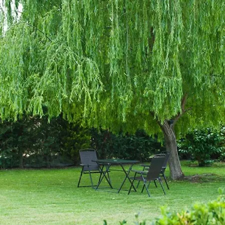 Maltina Kassandrinón