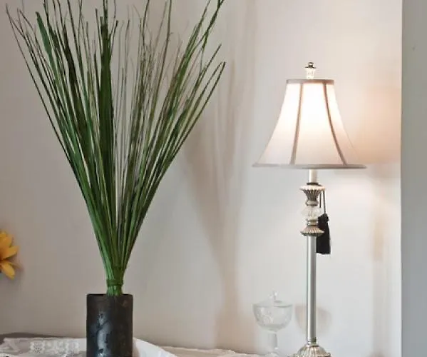 Maltina * Kassandrinón